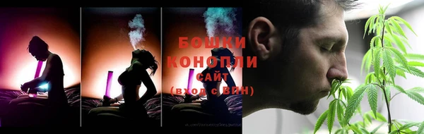 крисы Горно-Алтайск