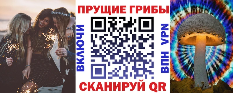 Псилоцибиновые грибы Psilocybe  Туапсе 