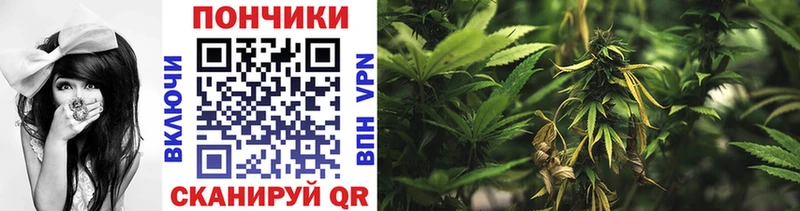 Канабис Bruce Banner Туапсе